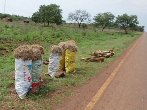 Thatching and Wood for sale.